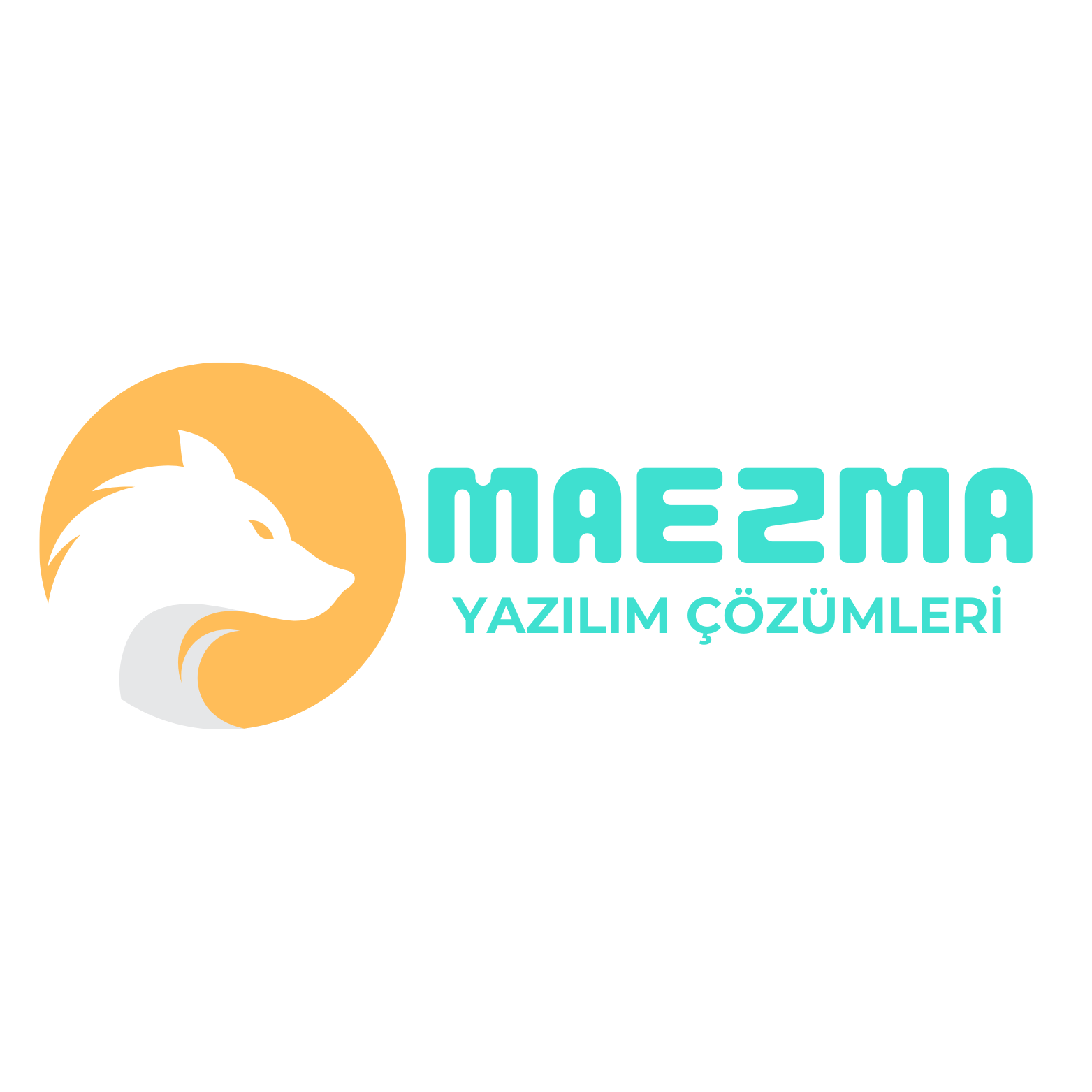 Yazılım ve web tasarım ofisi - Maezma Yazılım